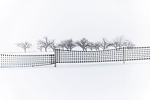 雪,栅栏