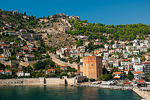 阿兰亚,城堡,红色,塔,老,墙壁,城镇,安塔利亚,省,土耳其