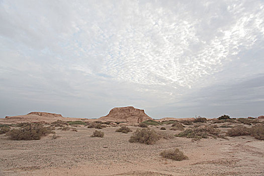 安西极旱荒漠国家级自然保护区