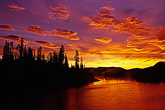 黎明,河,北方针叶林,育空,加拿大