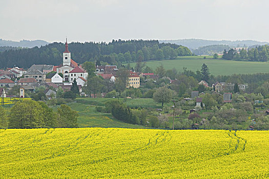 乡村,捷克共和国
