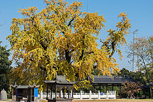 古惠济寺