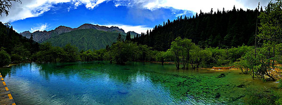 青山绿水