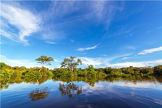 亚马逊河,丛林,反射