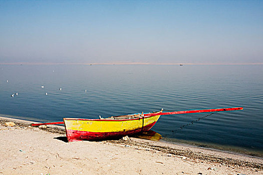 渔船,岸边,湖,埃及