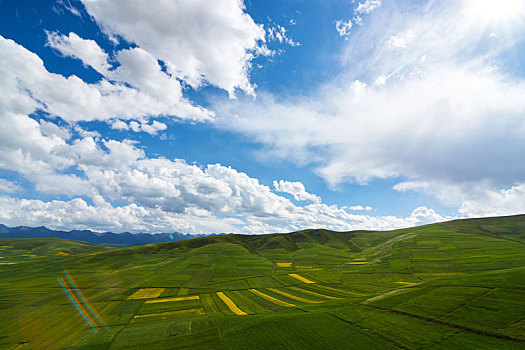 风景