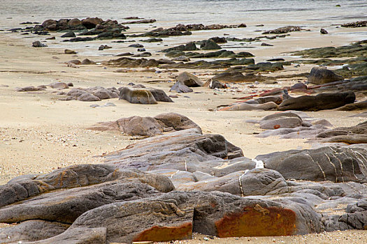 海滩上的彩色礁石,岩石,彩滩
