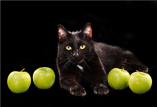 黑色,碧眼,猫,卧,青苹果,黑色背景