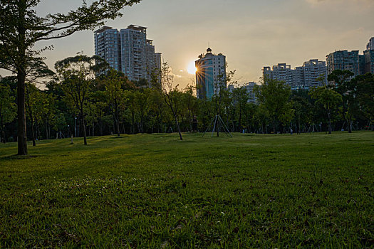 广州天河公园草地上看日落