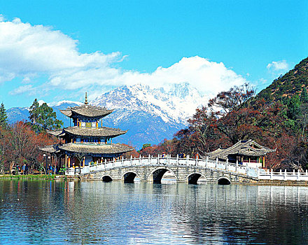 黑色,龍,水塘,麗江,云南
