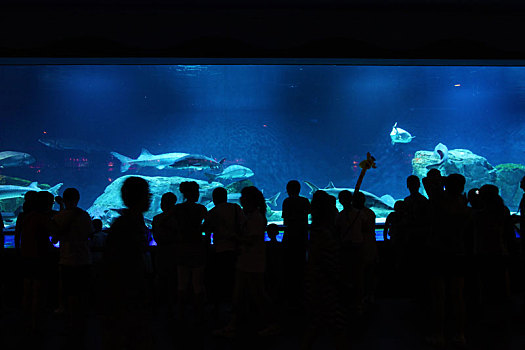 水族馆