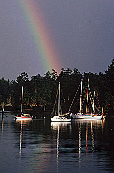 独木舟,小湾,彩虹,上方,温哥华岛,不列颠哥伦比亚省,加拿大