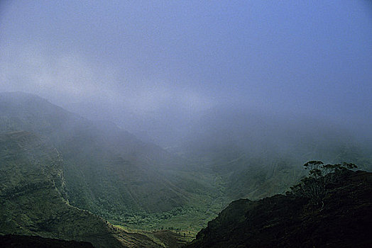 雾,雨林,威美亚峡谷,考艾岛,夏威夷,美国