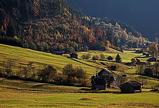 秋天,彩色,树,山谷,靠近,巴伐利亚,德国,欧洲