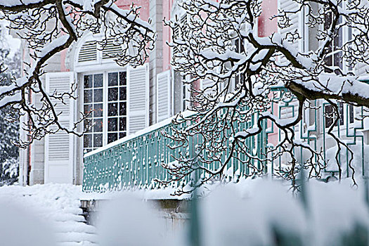 遮盖,雪