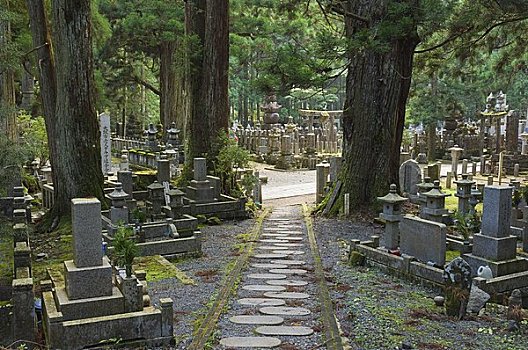 墓地,高野山,日本