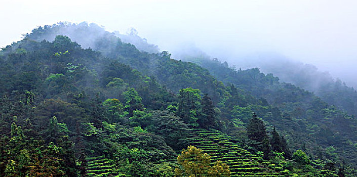 佛山市三水区大南山