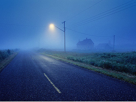 雾,乡村道路,新布兰斯维克,加拿大
