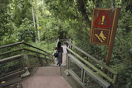 楼梯,标识,小心,小路,伊瓜苏国家公园,巴西