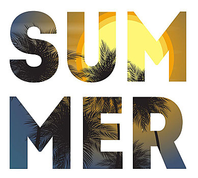 夏天,自然,招贴,海报,邀请,背景,矢量,插画