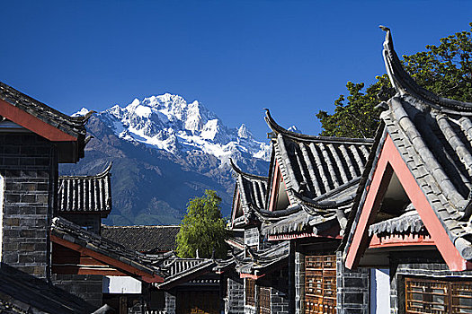 建筑,城镇,山,背景,玉龙雪山,丽江,云南,中国