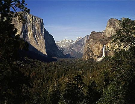 瀑布,树林,婚纱瀑,优胜美地国家公园,优胜美地山谷,加利福尼亚,美国