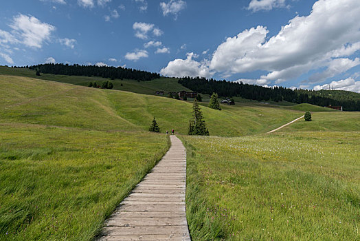 高原山丘草原山坡上的徒步栈道,意大利多洛米蒂山脉夏季苏西高原草甸的木栈道