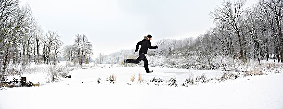 庞然大物,跑,雪