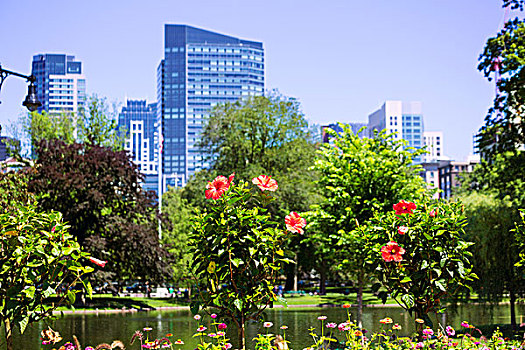 波士顿公园,公园,花园,天际线,马萨诸塞,美国