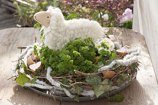 毛织品,羊羔,西芹,樱草属植物,花环