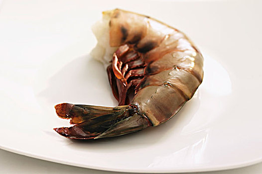 新鲜,挪威海蛰虾
