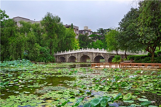 石桥,亚洲,花园