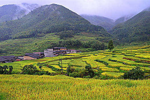 田园风景