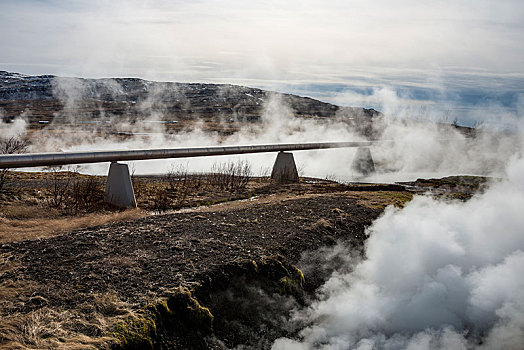 地热,蒸汽,温泉,管道,热,水,运输,瑞考尔特斯德勒,冰岛,欧洲