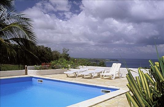 瓜德罗普,游泳池,海洋,背景,棕榈树