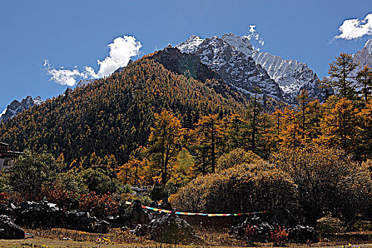 四川稻城风景