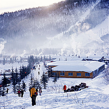 雪乡,双峰林场,村庄,风景,白天,黑龙江,牡丹江