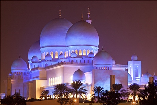 清真寺,光亮,夜晚,阿布扎比,阿联酋