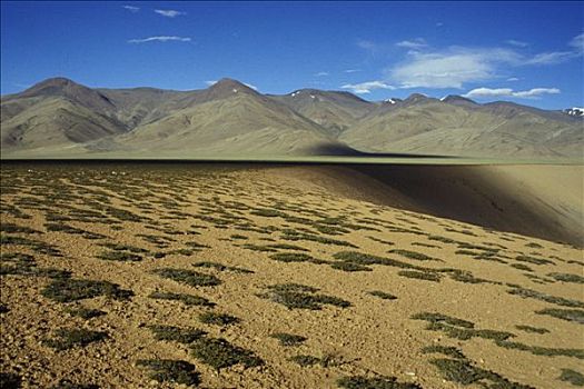 印度,高原,荒漠景观,山峦,背影