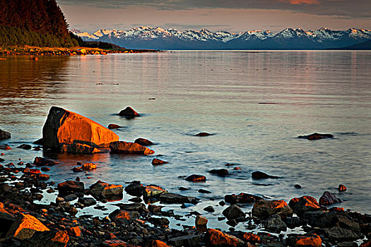 景色,日落,小湾,冰河湾国家公园,保存,东南阿拉斯加,夏天
