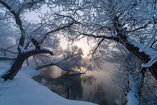 兴凯湖冰雪风光