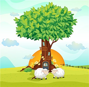 绵羊,树下,房子