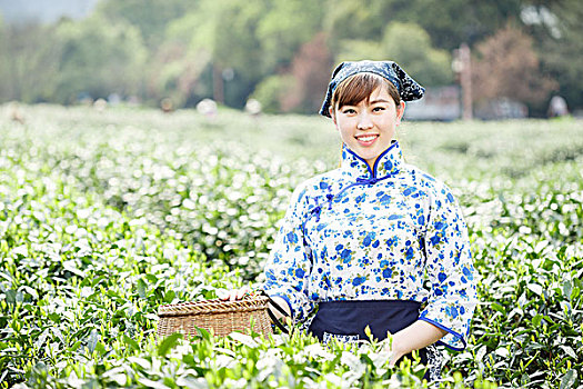 亚洲人,漂亮,女孩,种植园