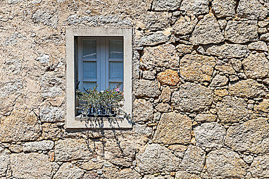 老,窗户,植物,古老,灰色,石墙,背景,纹理,科西嘉岛,法国