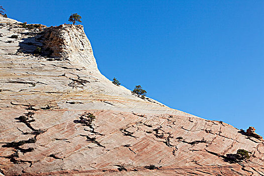 砂岩,石头,锡安山,高原,锡安国家公园,犹他,美国,北美