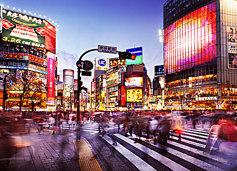人群,明治,街道,涩谷,车站,忙碌,交叉,照亮,彩色,标识,广告,晚上,高峰时间,东京,日本,亚洲