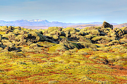 火山岩,风景,冰岛,欧洲