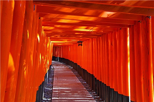 伏见稻荷大社,神祠,京都