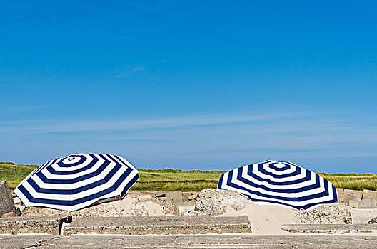 两个,伞,水泥,夏天,丹麦