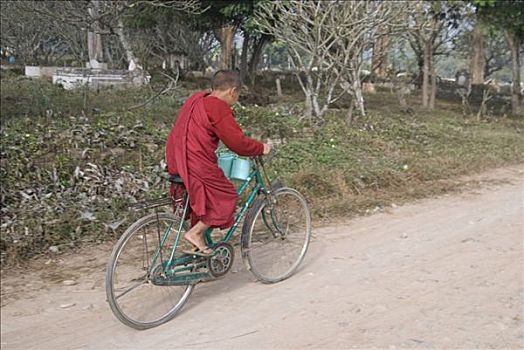 缅甸,年轻,僧侣,自行车